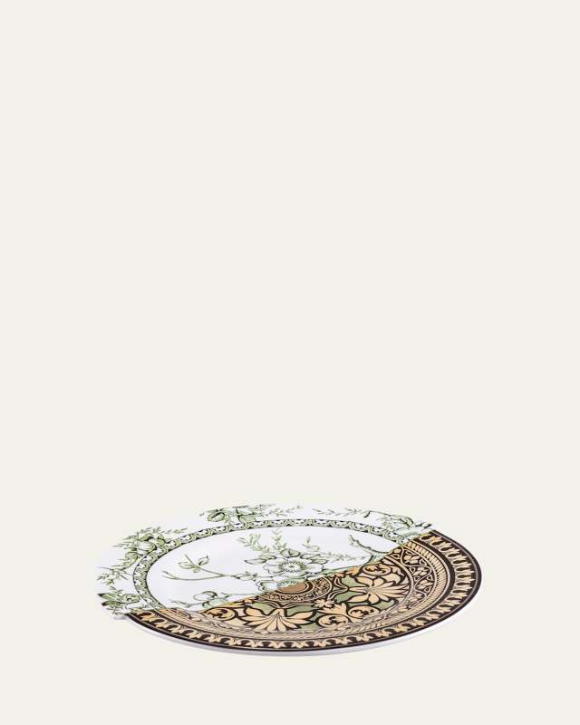 Lothal Hybrid Dinner Plate